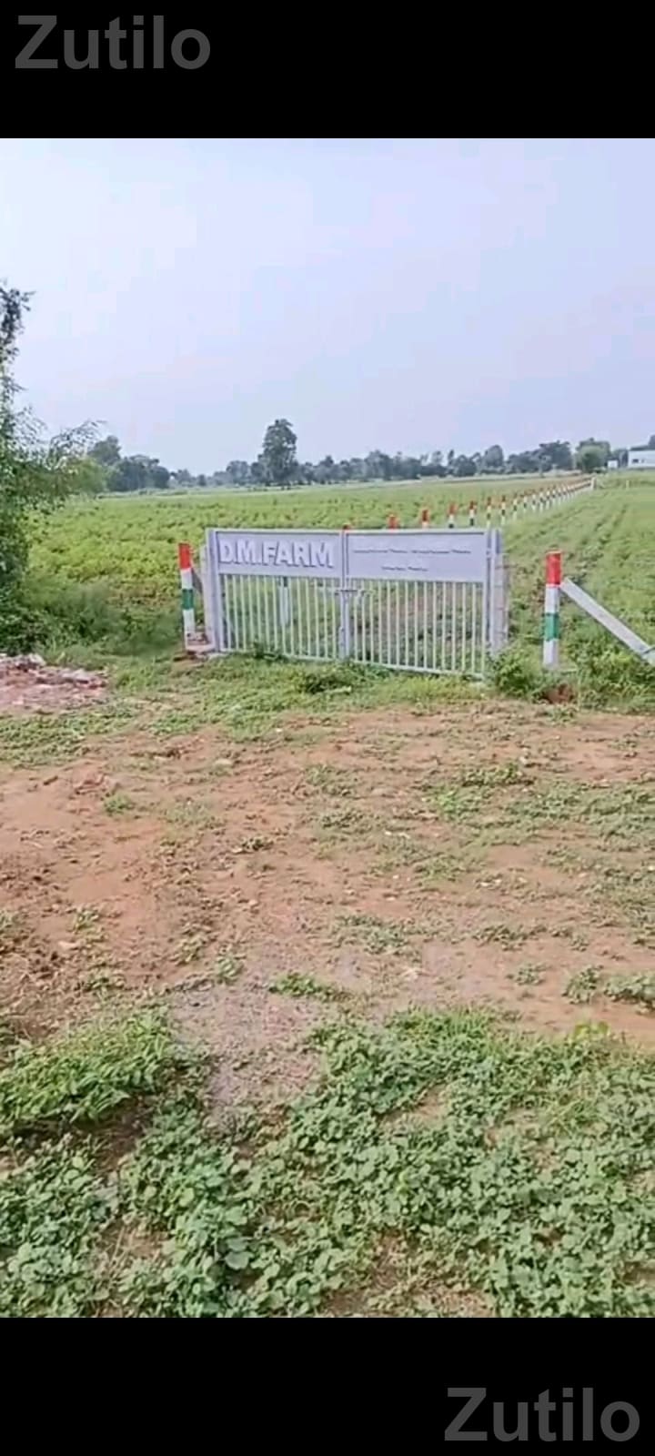 2.10 Bigha Highway Touch Land for Sale - Land & Plots - Vijapur - Image 5