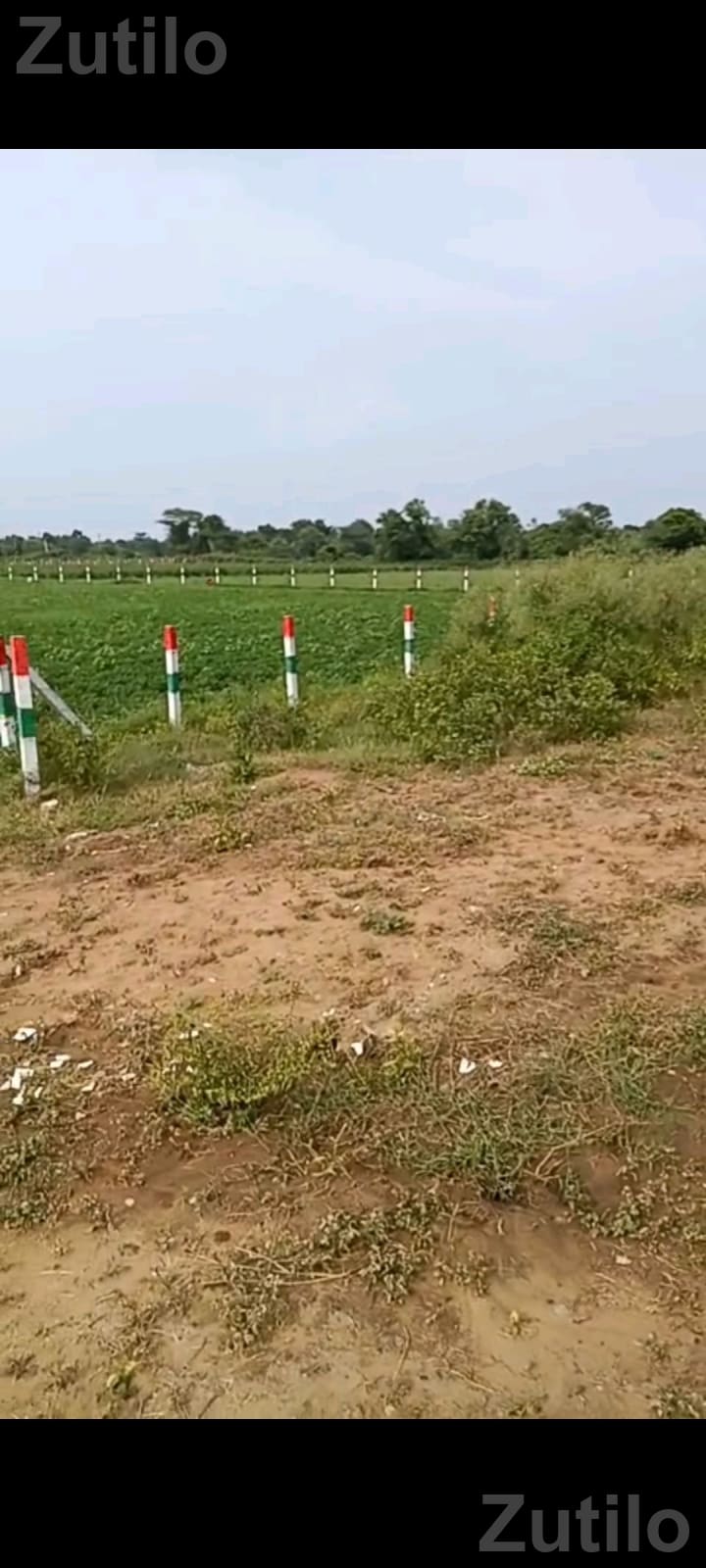 2.10 Bigha Highway Touch Land for Sale - Land & Plots - Vijapur - Image 2