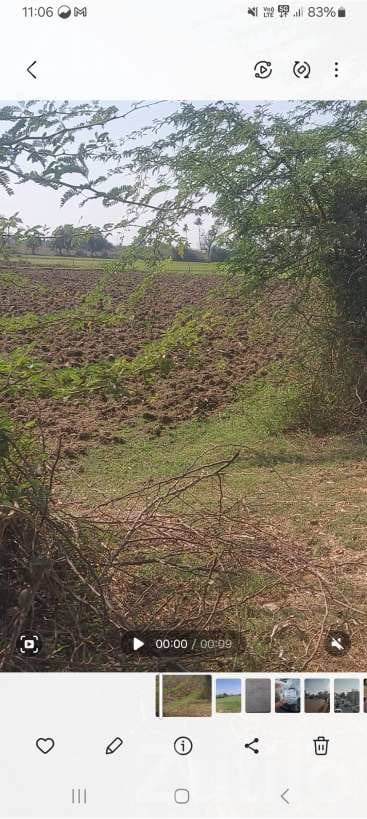 1 Vidho Agricultural Land for Sale