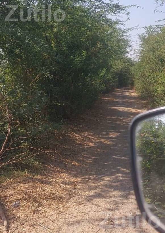 1 Vidho Agricultural Land for Sale - Land & Plots - Matar - Image 2