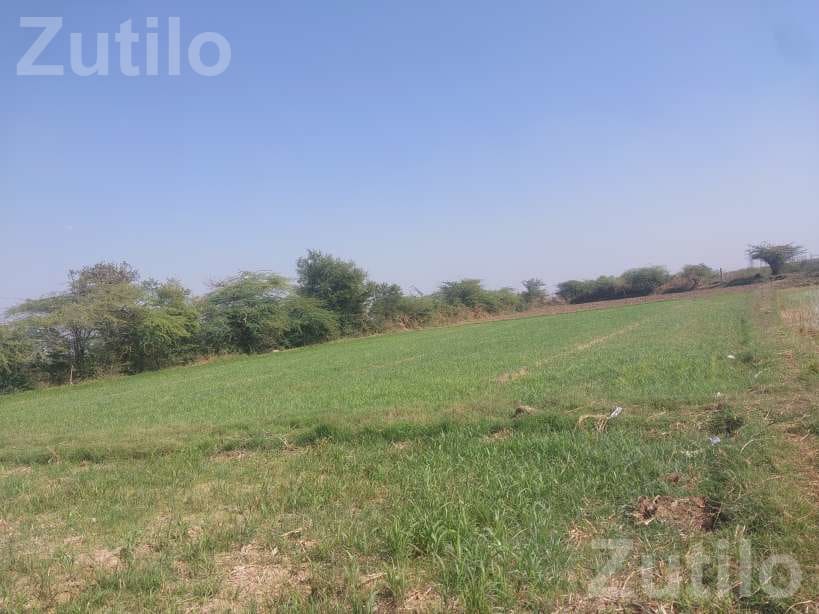 1 Vidho Agricultural Land for Sale - Land & Plots - Matar - Image 3