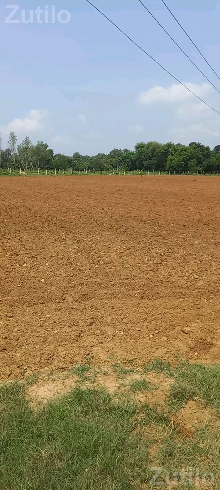 9 to 10 Vigha Road Touch Land with RCC Wall - Land & Plots - Nadiad - Image 2
