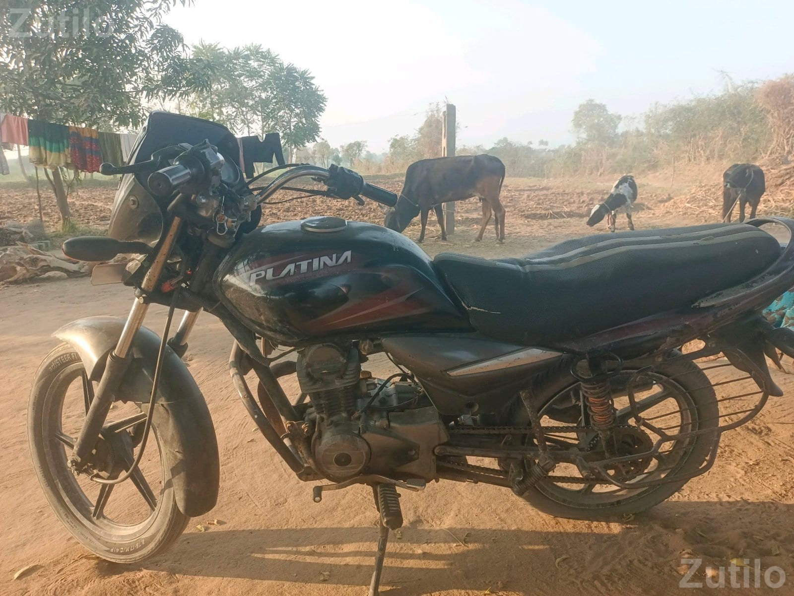 Bajaj Platina Bike 2014 Model - બાઇક્સ - વડોદરા શહેર - Image 4
