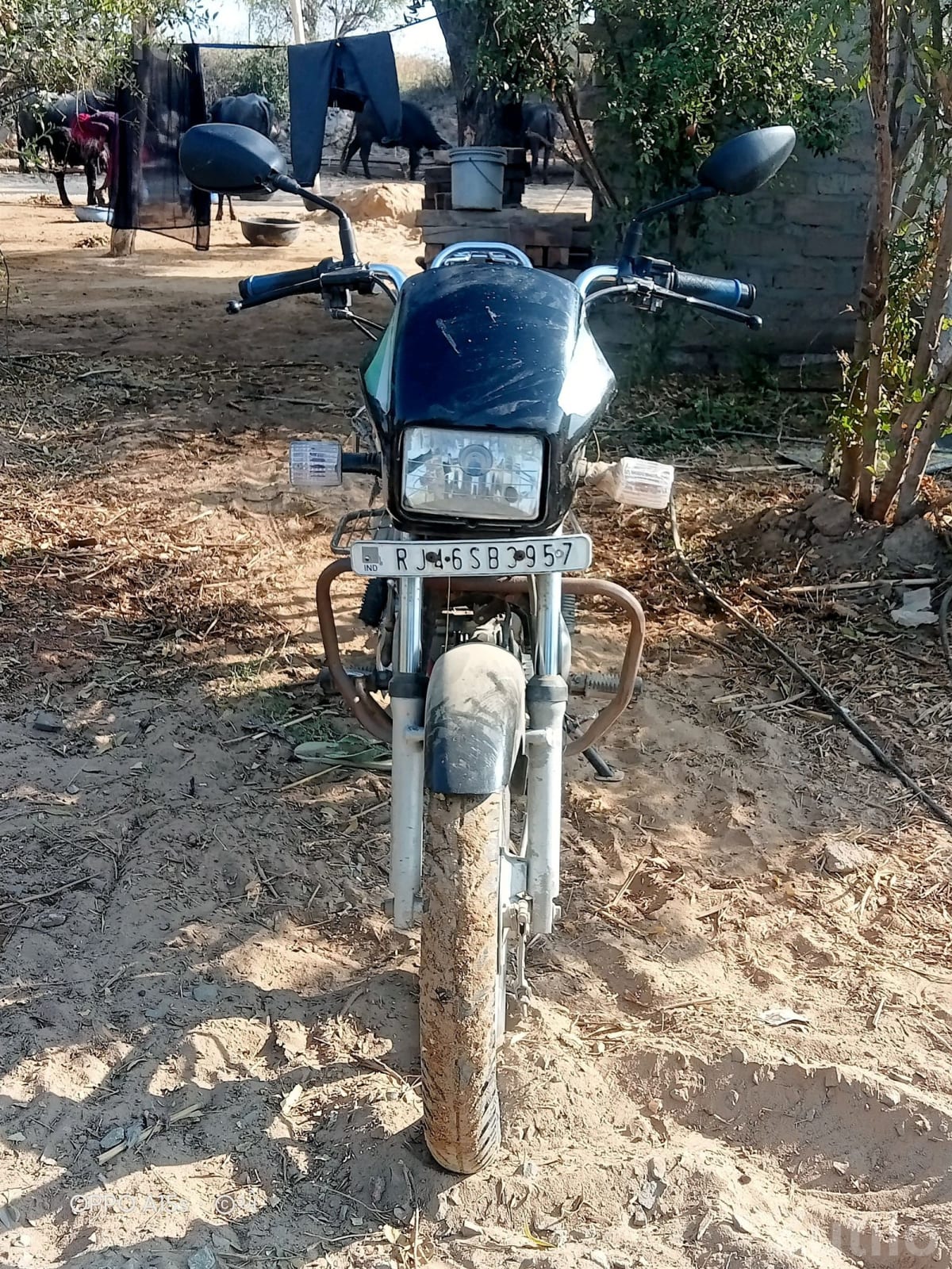 2015 Hero Splendor Pro Bike - Bikes - Tharad - Image 2