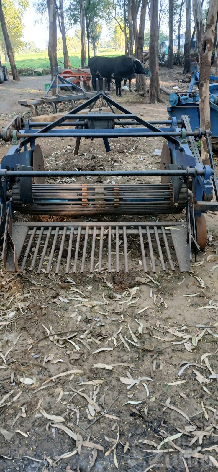 બડાકાનુ ડીગર