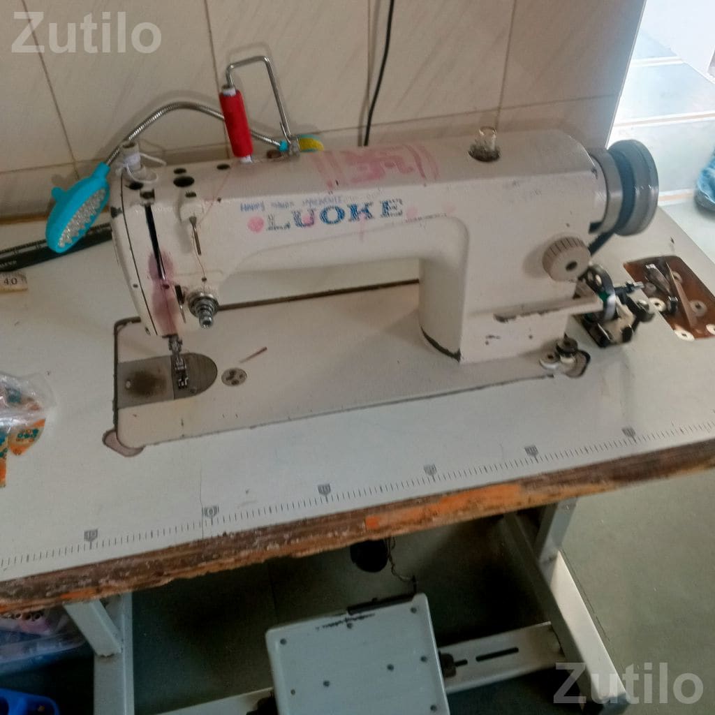 LIONSE China Special Industrial Sewing Machine - Textile Machinery - Botad - Image 3