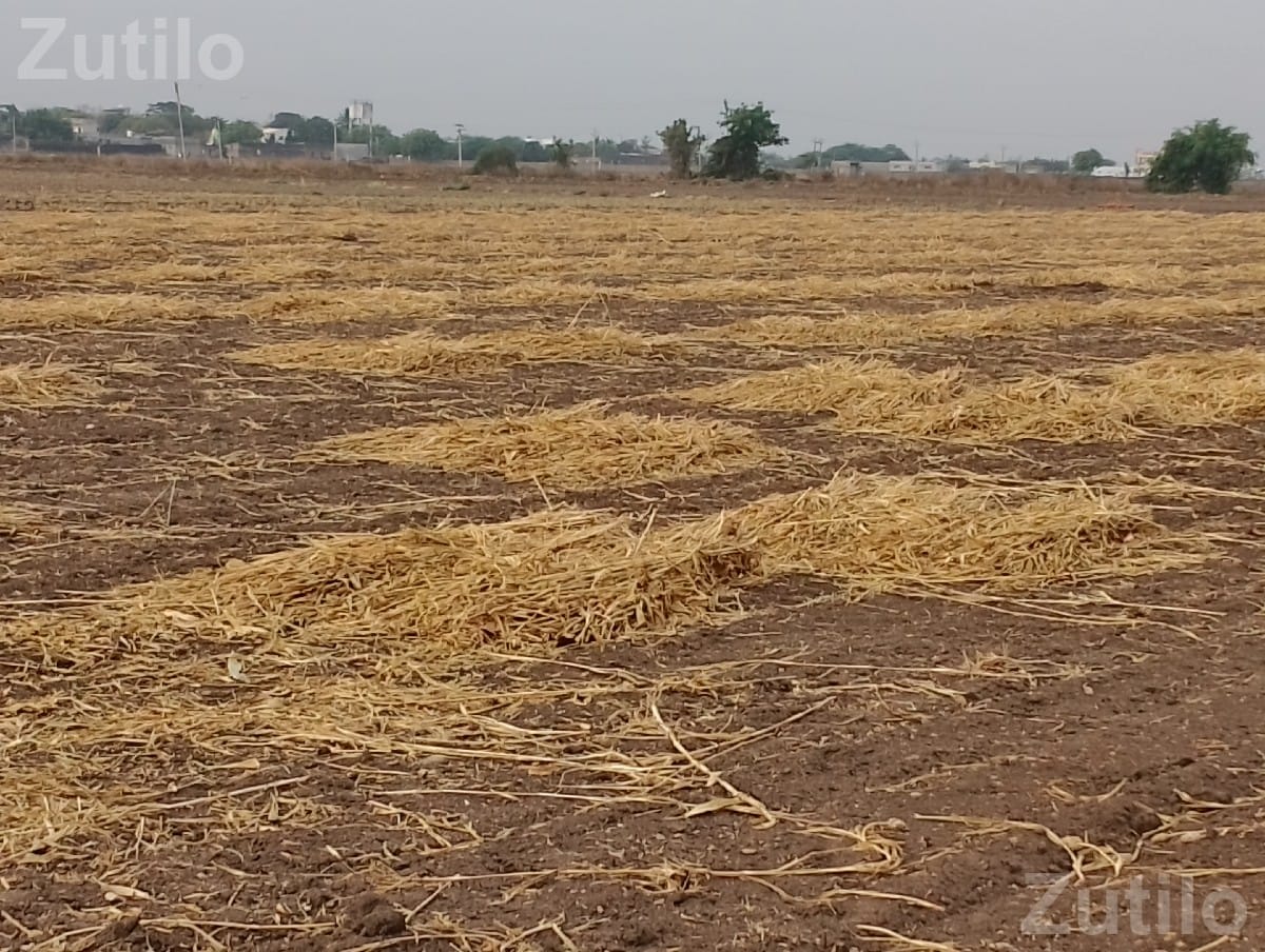 Agricultural Land Plot for Sale