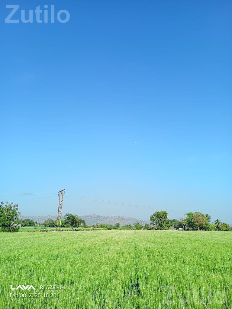 Road Touch Agricultural Land for Sale - Land & Plots - Ranavav - Image 3