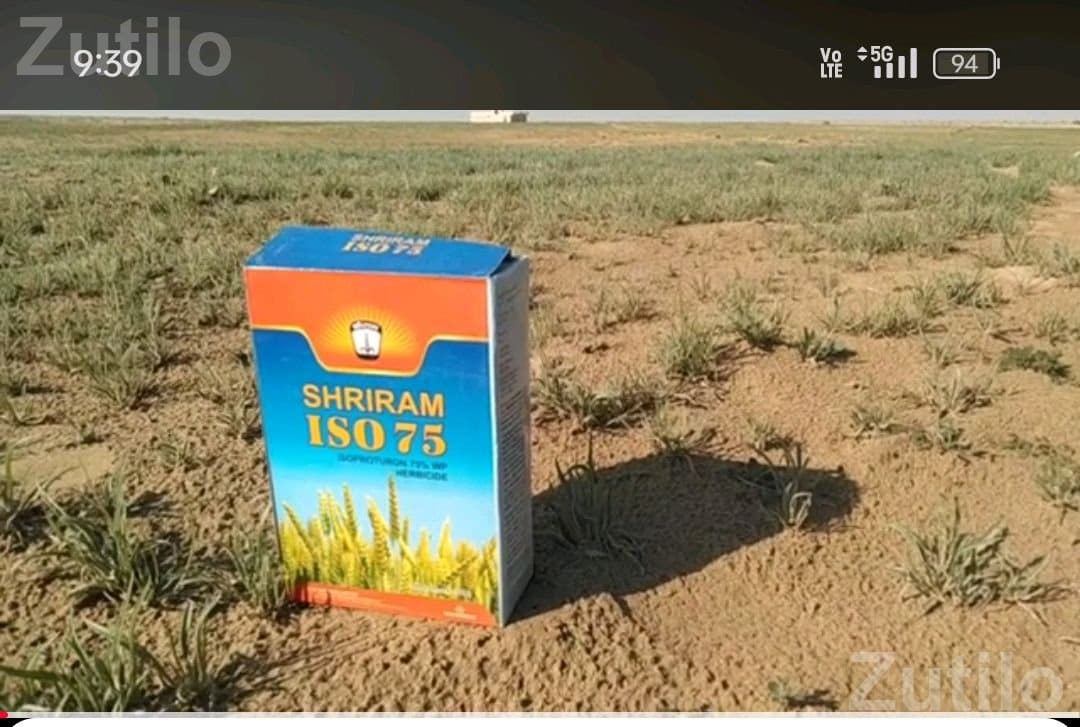 Agricultural Land Plot for Sale - Land & Plots - Nakhatrana - Image 2