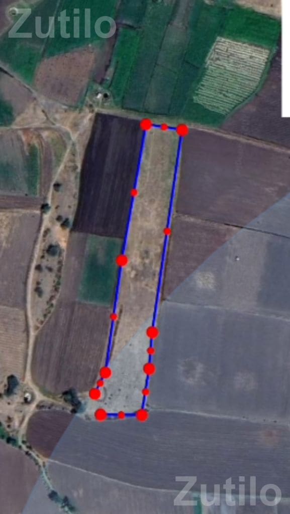5 Vigha Agricultural Land for Sale