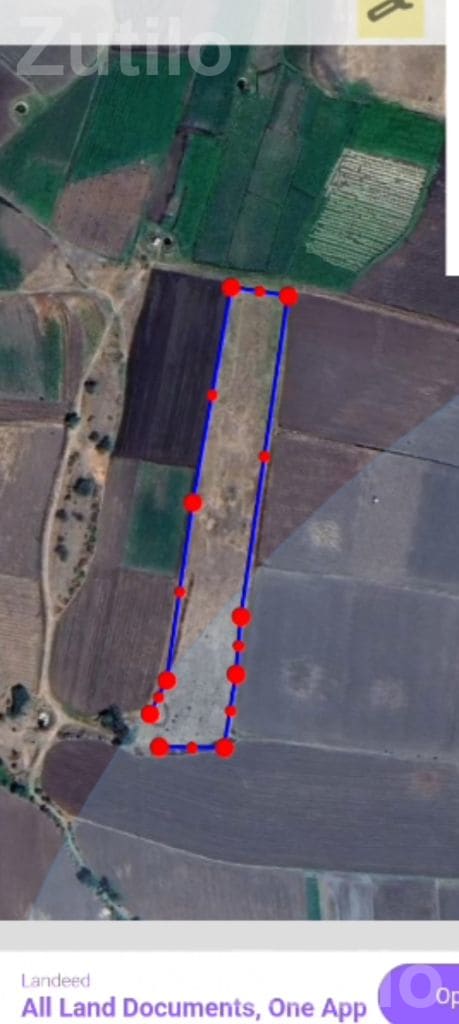 5 Vigha Agricultural Land for Sale - Land & Plots - Chotila - Image 2