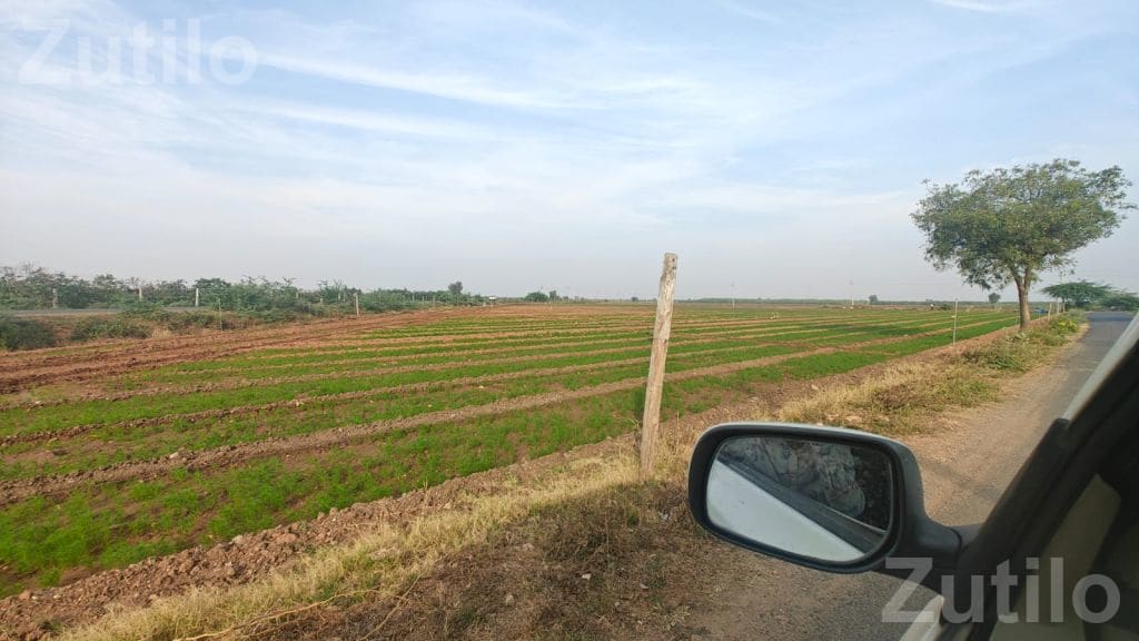 3 Acre Agricultural Land for Sale