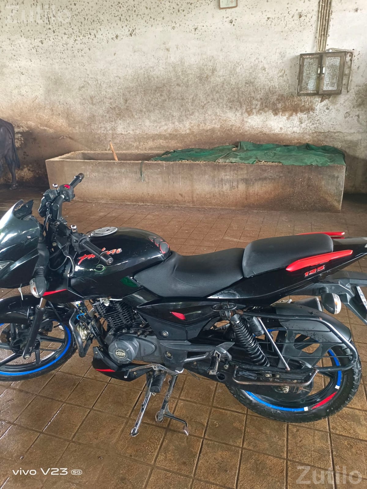 Bajaj Pulsar 125 2021 Model Bike - બાઇક્સ - પાલનપુર - Image 5