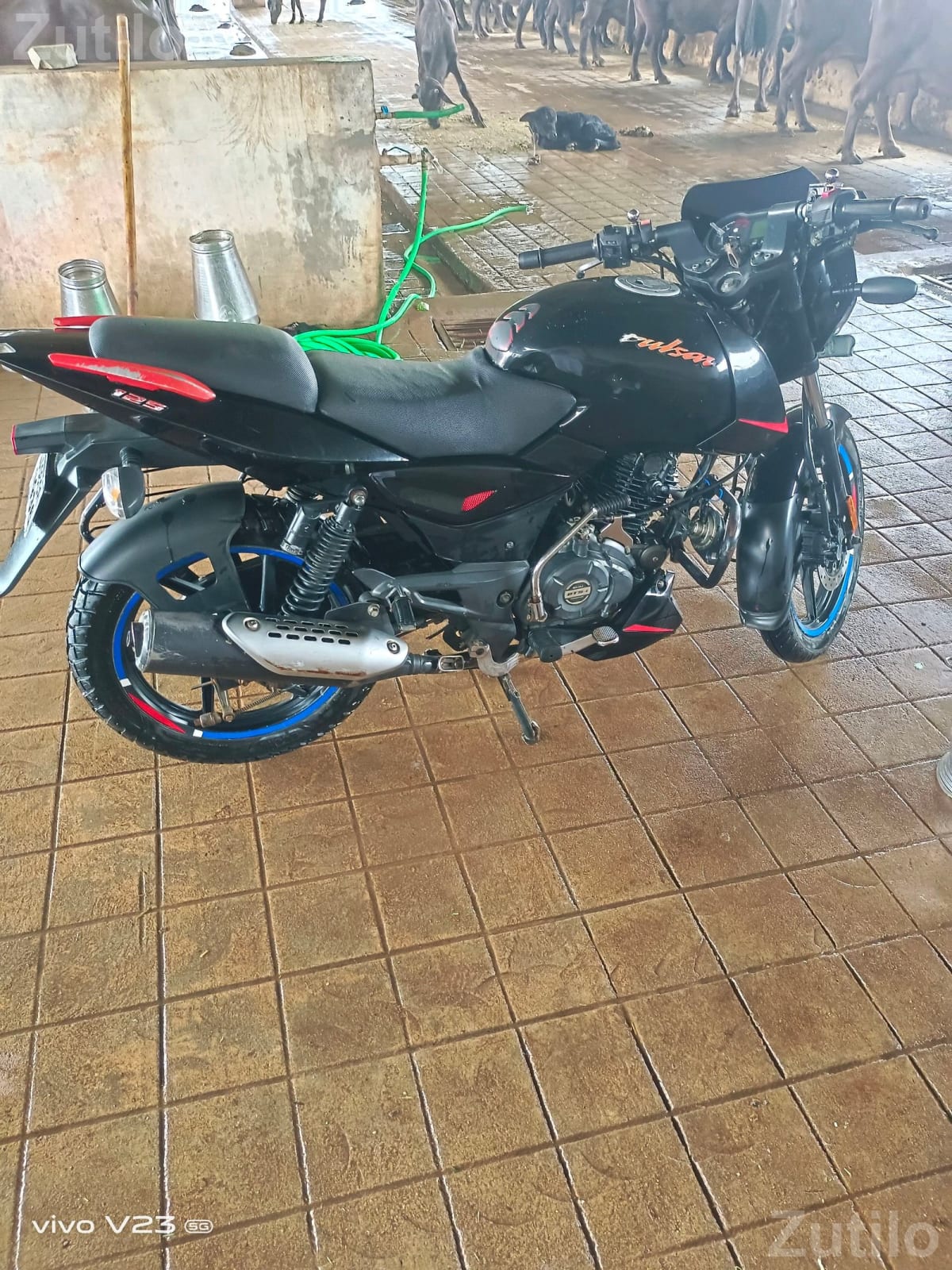 Bajaj Pulsar 125 2021 Model Bike - બાઇક્સ - પાલનપુર - Image 3