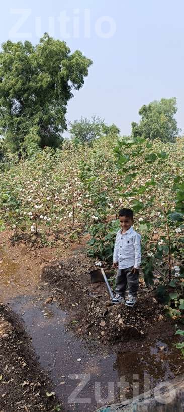 12.30 Vigha Road Touch Agricultural Land