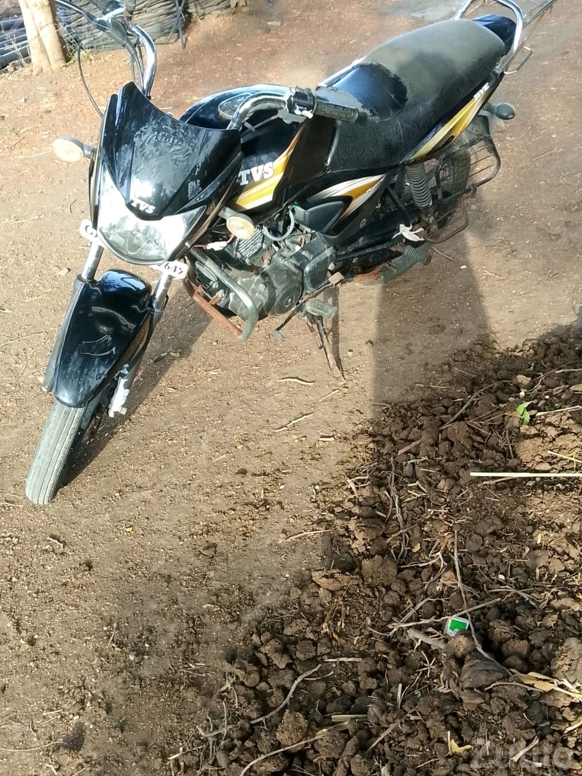 2012 TVS Jive Motorcycle - બાઇક્સ - ગોંડલ - Image 4