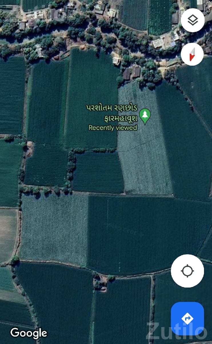 12.5 Vigha Agricultural Land with Water Source