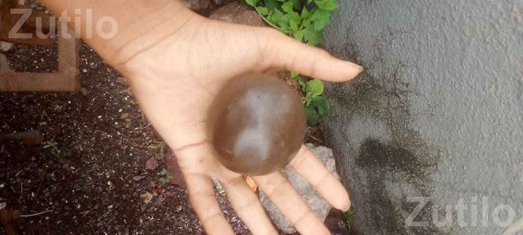 Clay Ball Toy in Clean Condition - Toys - Rajkot City - Image 2