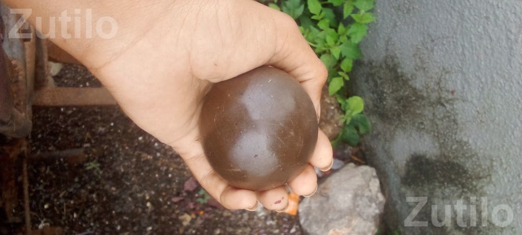 Clay Ball Toy in Clean Condition