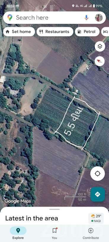 5.5 Vigha Agricultural Land for Sale - Land & Plots - Bagasara - Image 5