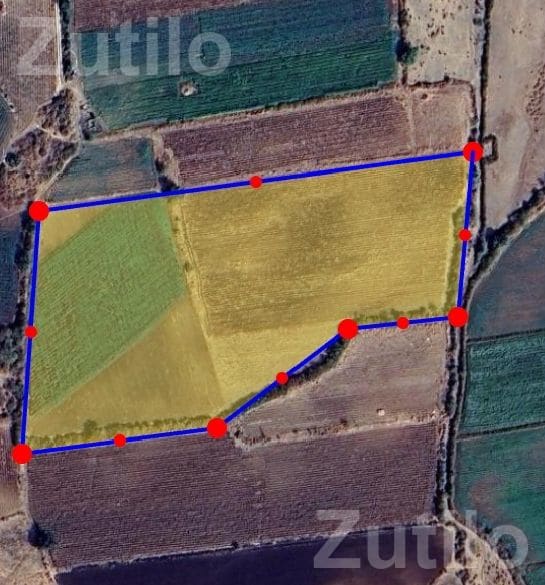 10.5 Vigha Agricultural Land for Sale - Land & Plots - Dhari - Image 2