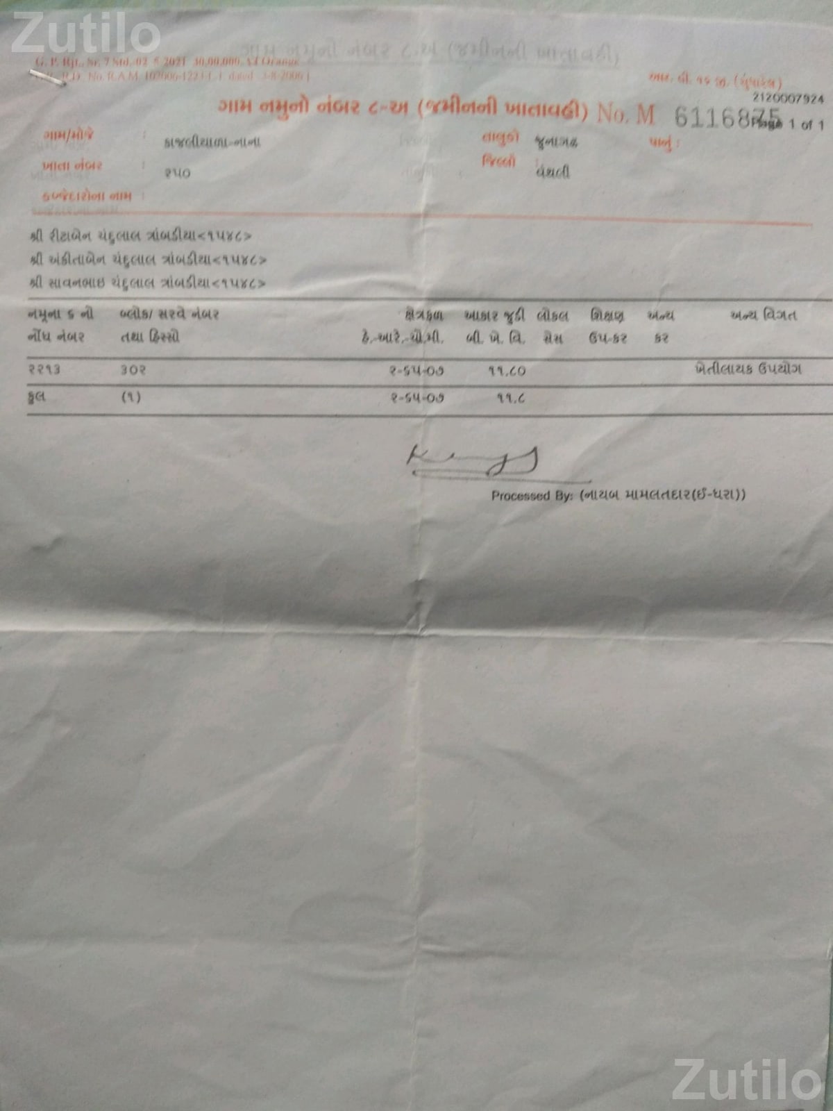 15 Bigha Orchard Land with Mango and Chikoo Trees - Land & Plots - Vanthali - Image 2