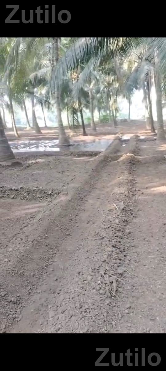 kheti kam mate lebour - Labour / Helper - Ahmedabad City - Image 4