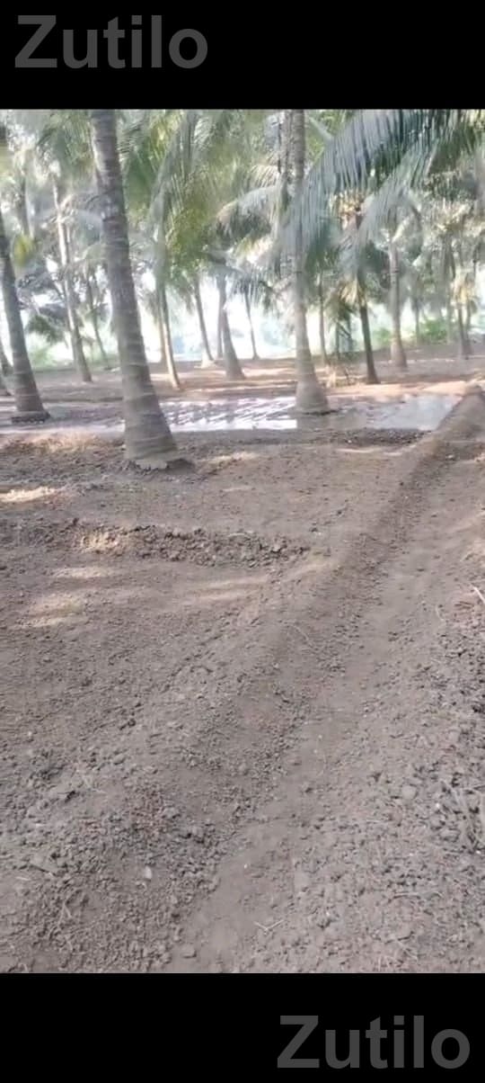 kheti kam mate lebour - Labour / Helper - Ahmedabad City - Image 2