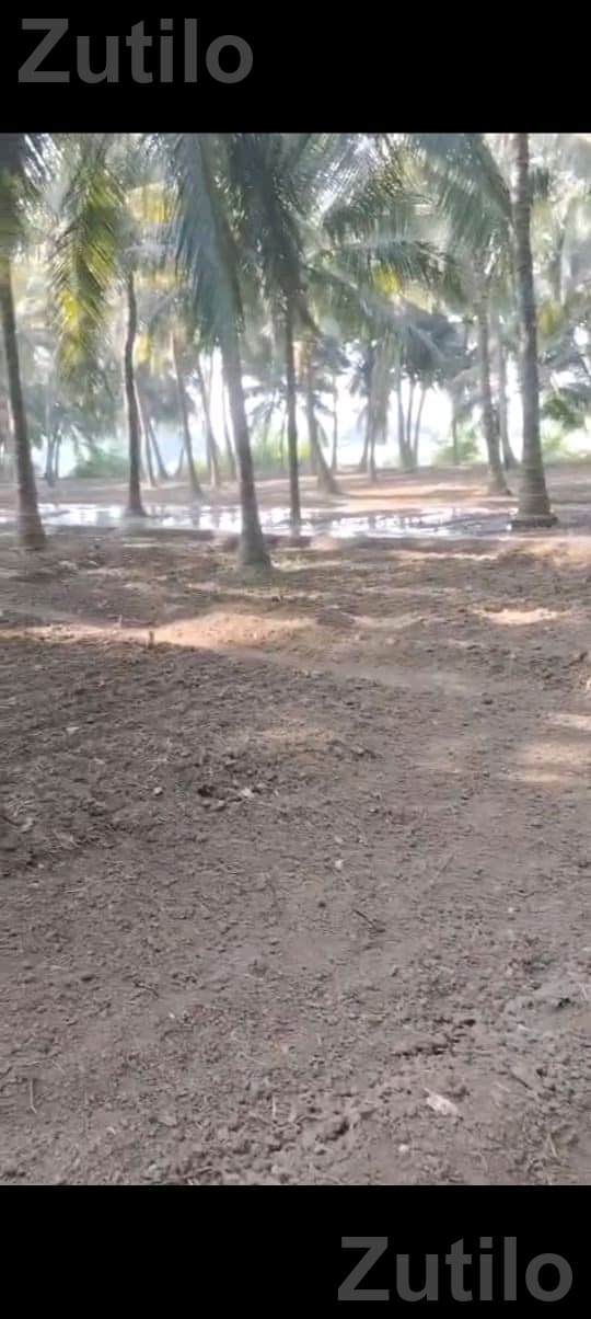 kheti kam mate lebour - Labour / Helper - Ahmedabad City - Image 3