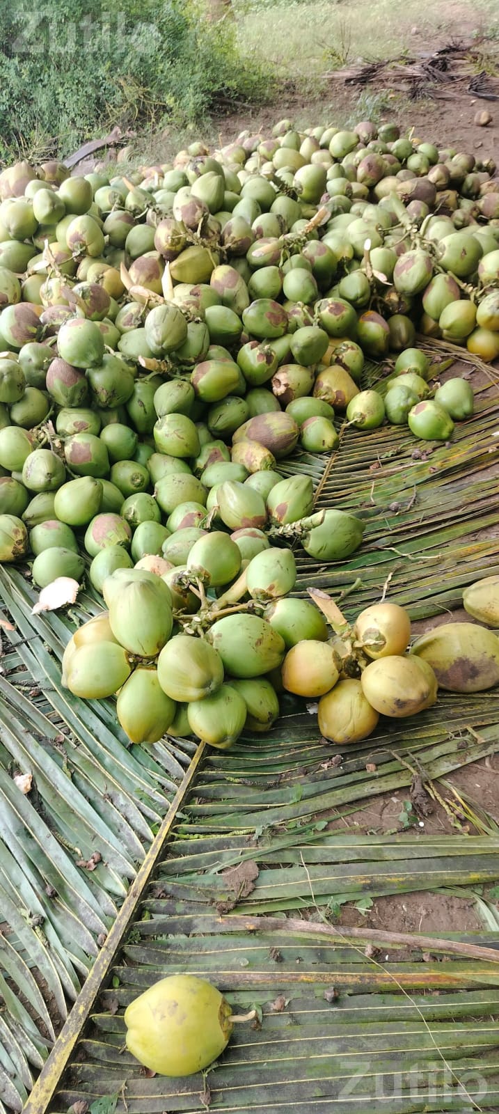 kheti kam mate lebour