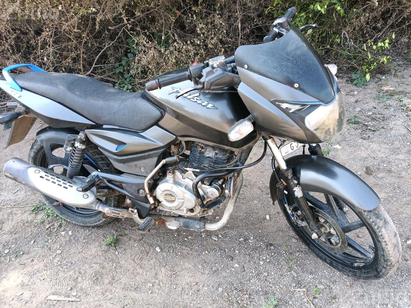 Bajaj Pulsar 2020 Bike Single Owner - Bikes - Savarkundla - Image 4
