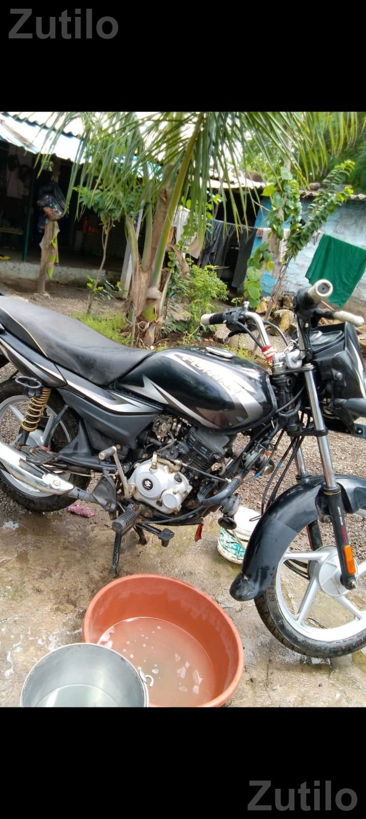 Bajaj Platina 100cc 2024 Model Bike - Bikes - Rajula - Image 3