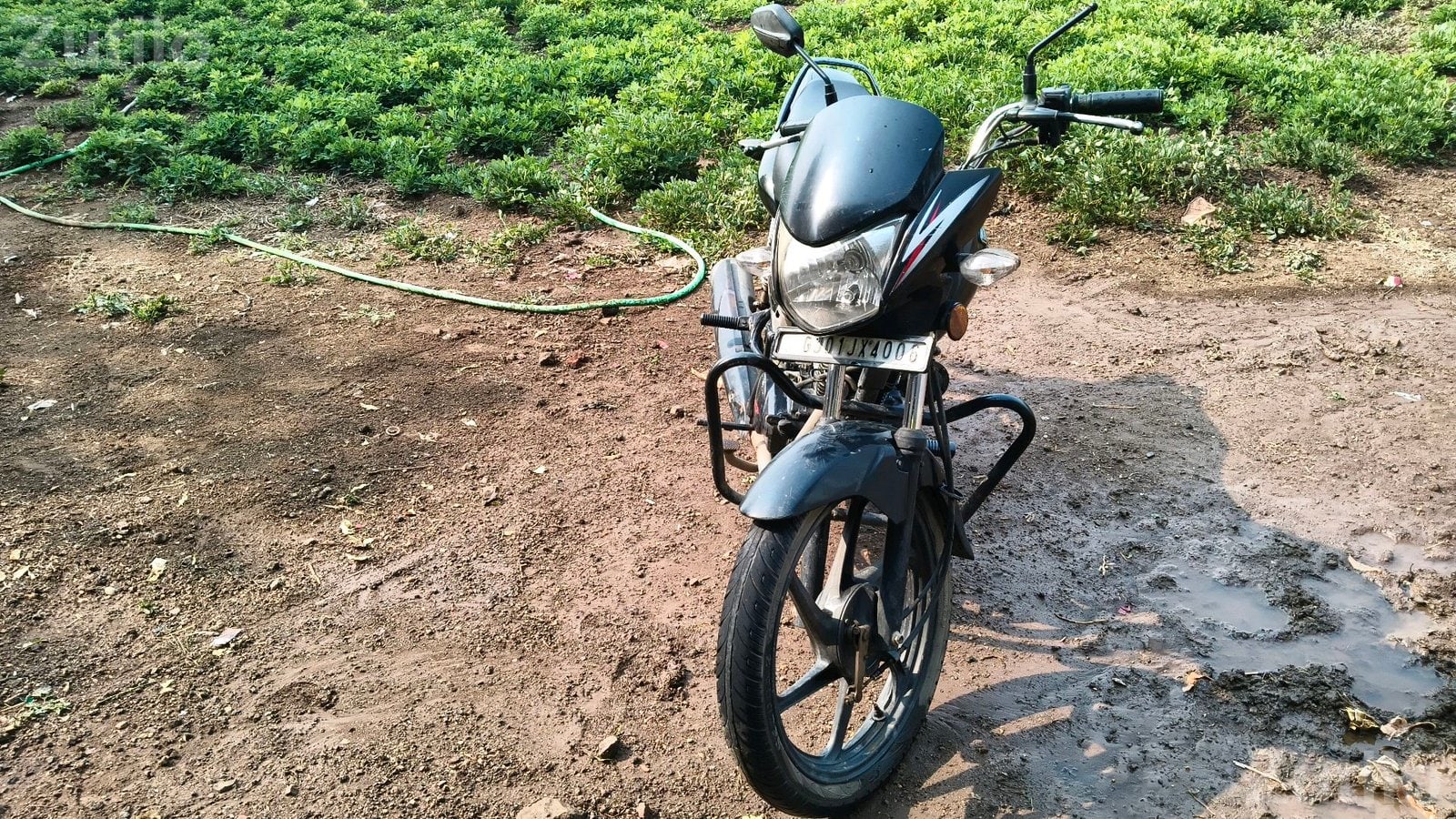 Honda CB Shine 2016 Motorcycle - Bikes - Ghogha - Image 3