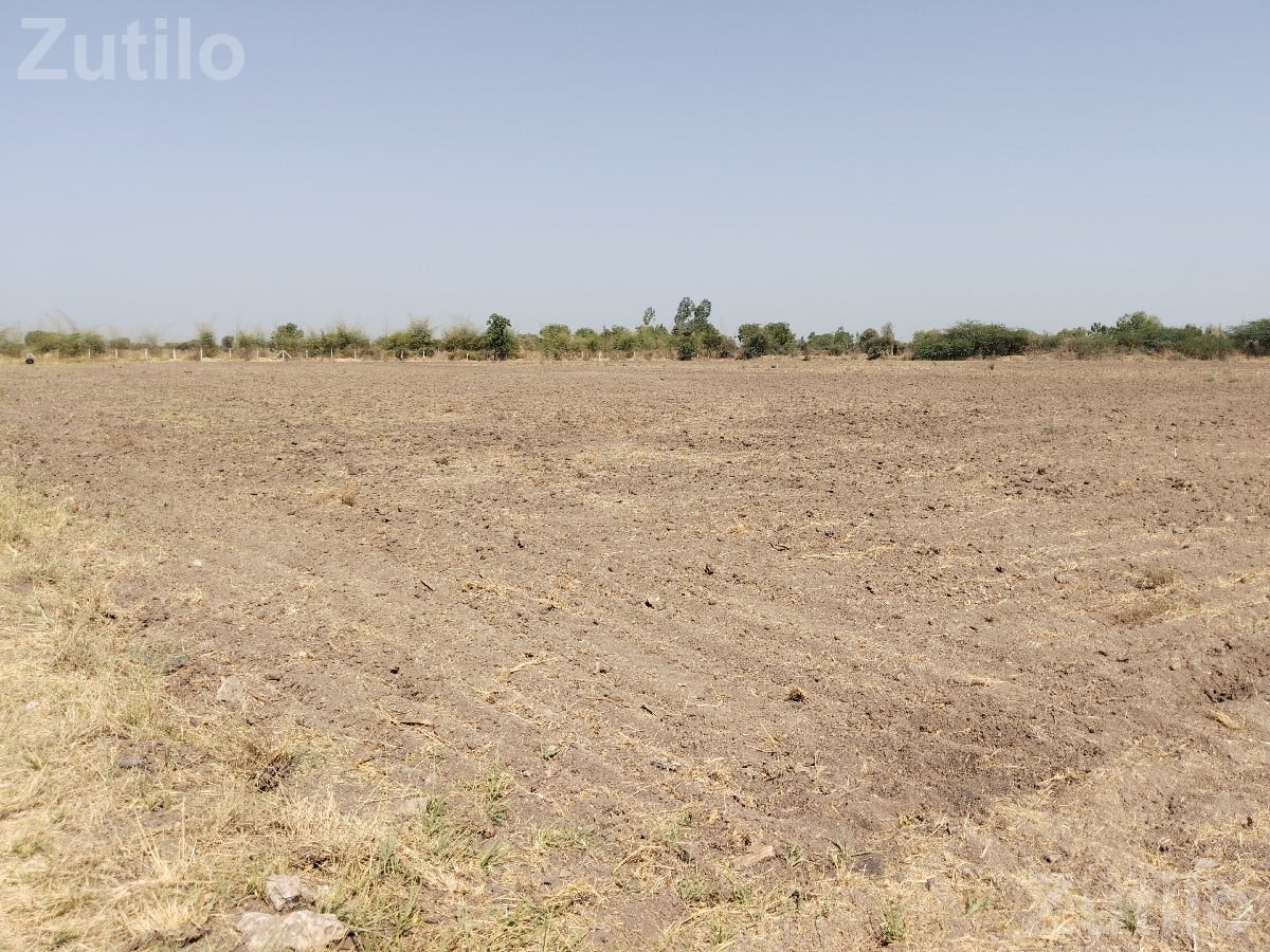 12 Vidha Agricultural Land with Drip Irrigation - Land & Plots - Vallabhipur - Image 3