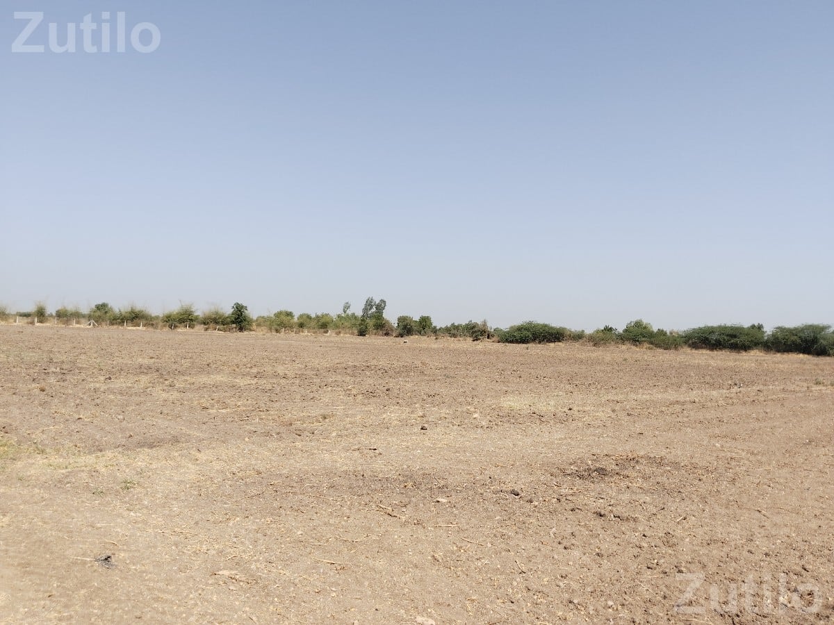 12 Vidha Agricultural Land with Drip Irrigation