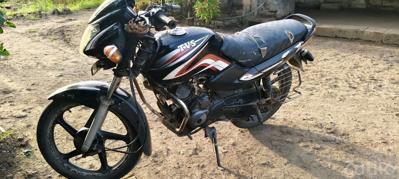 TVS SPORT - Shops - Bhavnagar City - Image 4