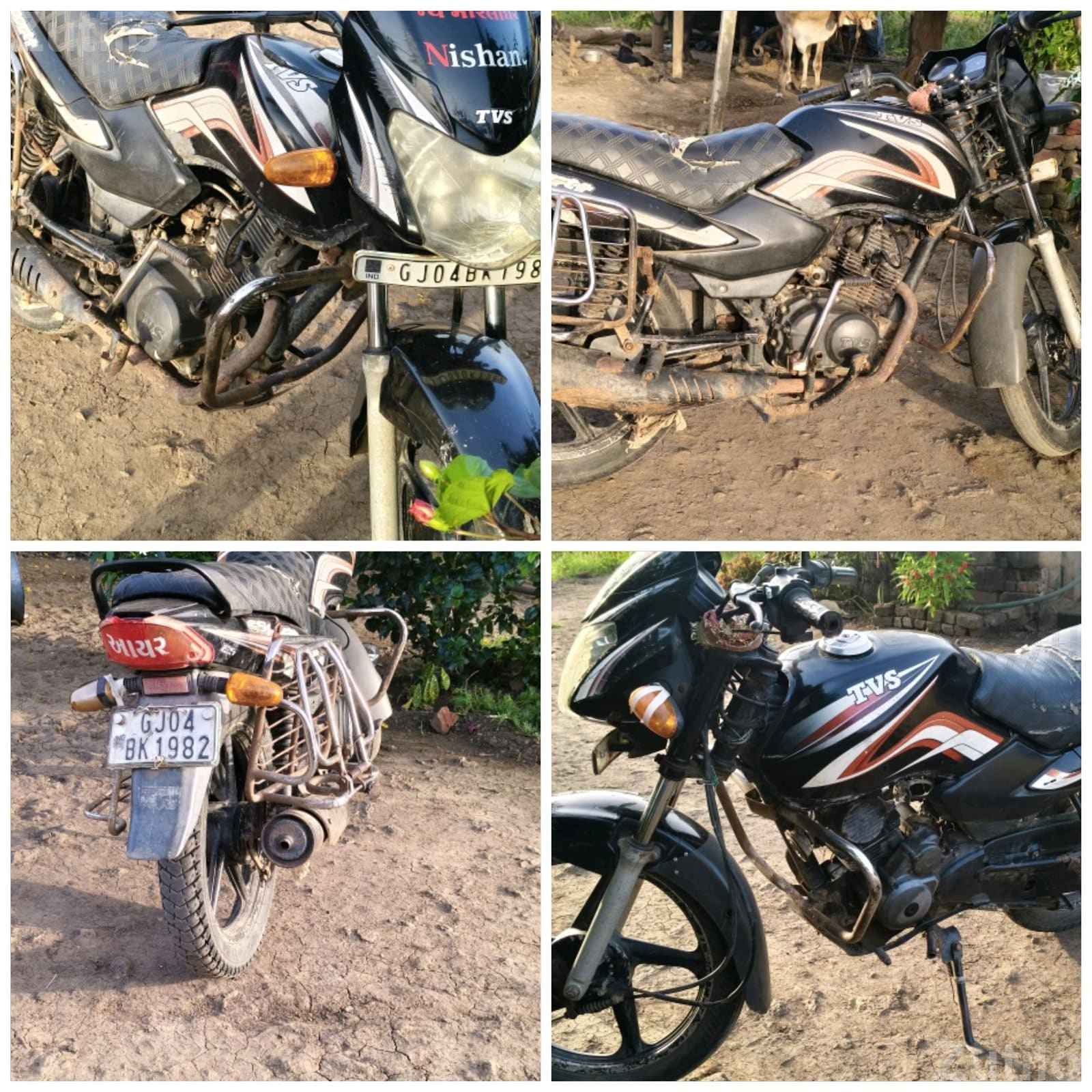 TVS SPORT - Shops - Bhavnagar City - Image 5