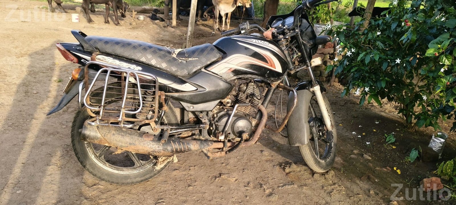 TVS SPORT - Shops - Bhavnagar City - Image 2