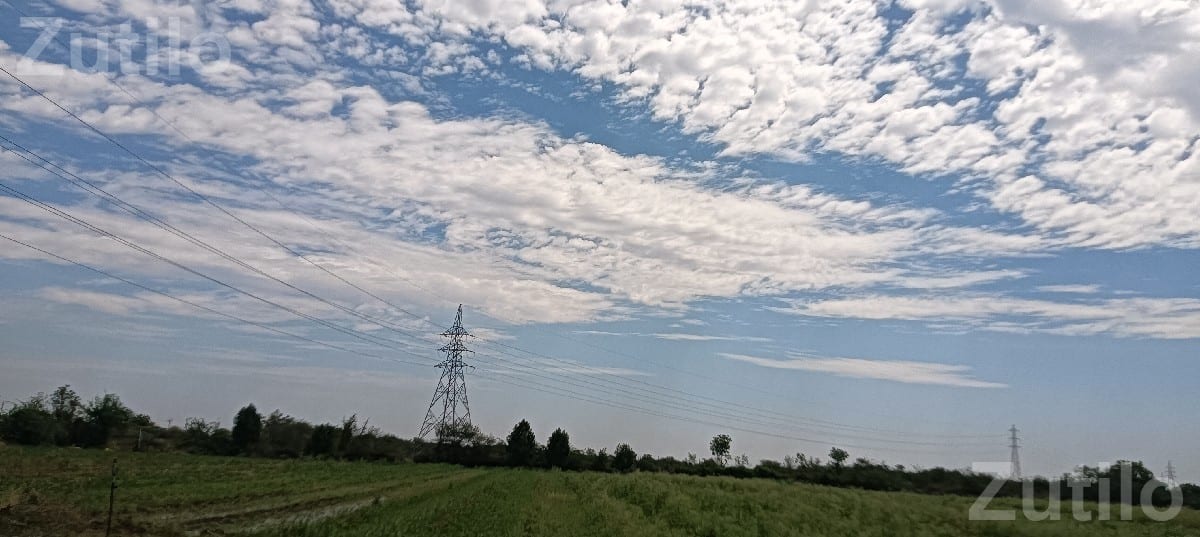 Agricultural Land Plot for Sale