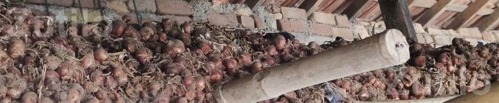 લાલ કાંજી