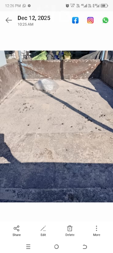 90 Ft Trolley Trailer with Apollo Tyres