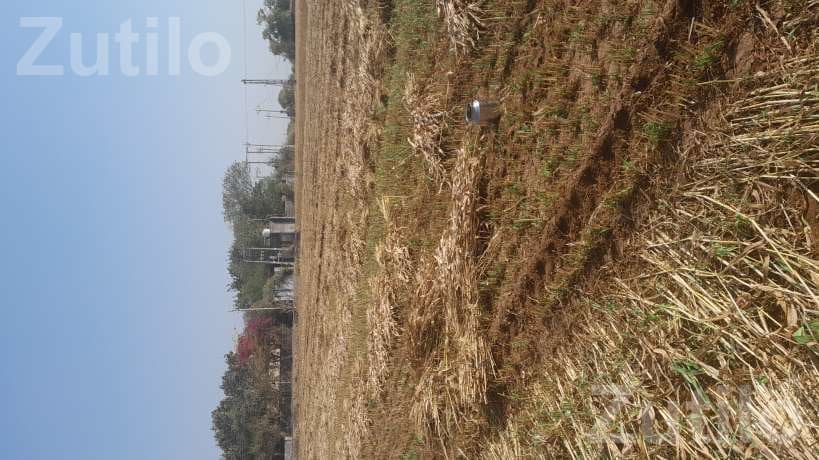 Agricultural Land Plot for Sale