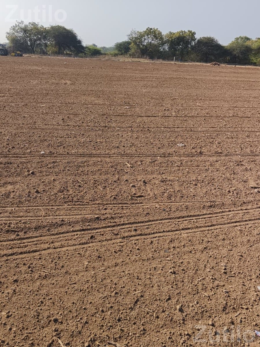 70 Vigha Agricultural Land for Sale