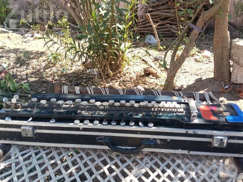 Banjo Strings and Guitar Picks Set - Musical Instruments - Una - Image 4