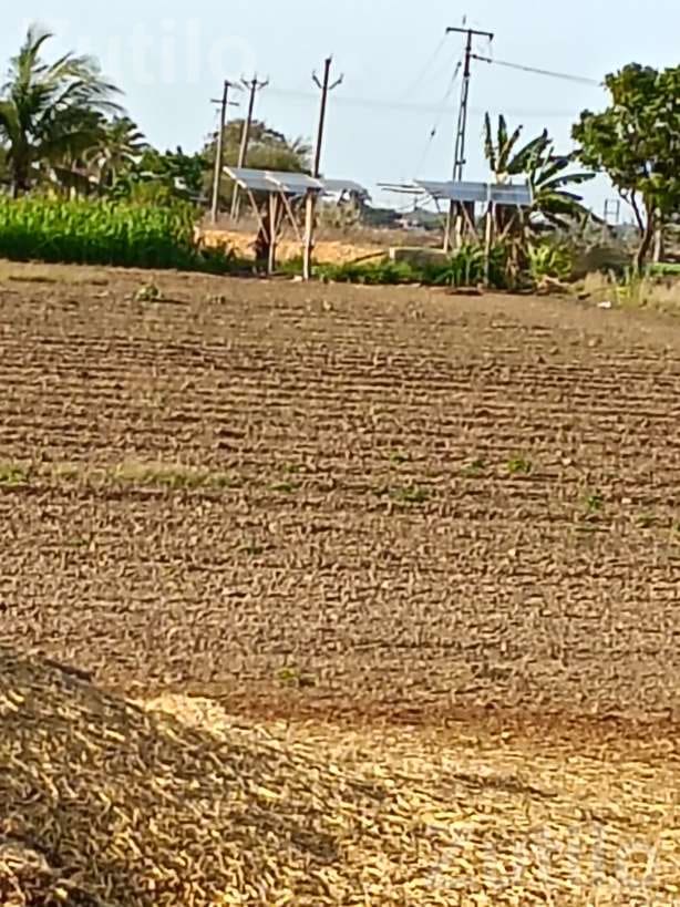 Agricultural Land for Sale Near Bhogat