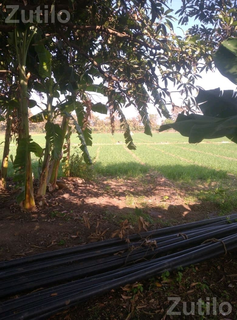 Agricultural Land for Sale with Well and Power