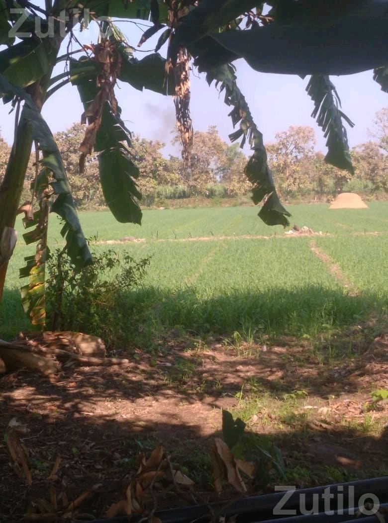 Agricultural Land for Sale with Well and Power - Land & Plots - Sutrapada - Image 2