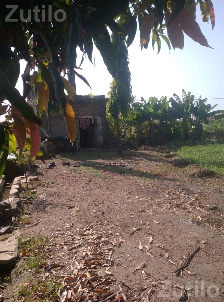 Agricultural Land for Sale with Well and Power - Land & Plots - Sutrapada - Image 3