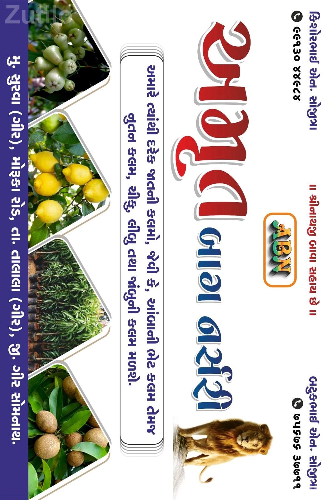 અમૃત બાગ નર્સરી - Land & Plots - Palanpur - Image 2