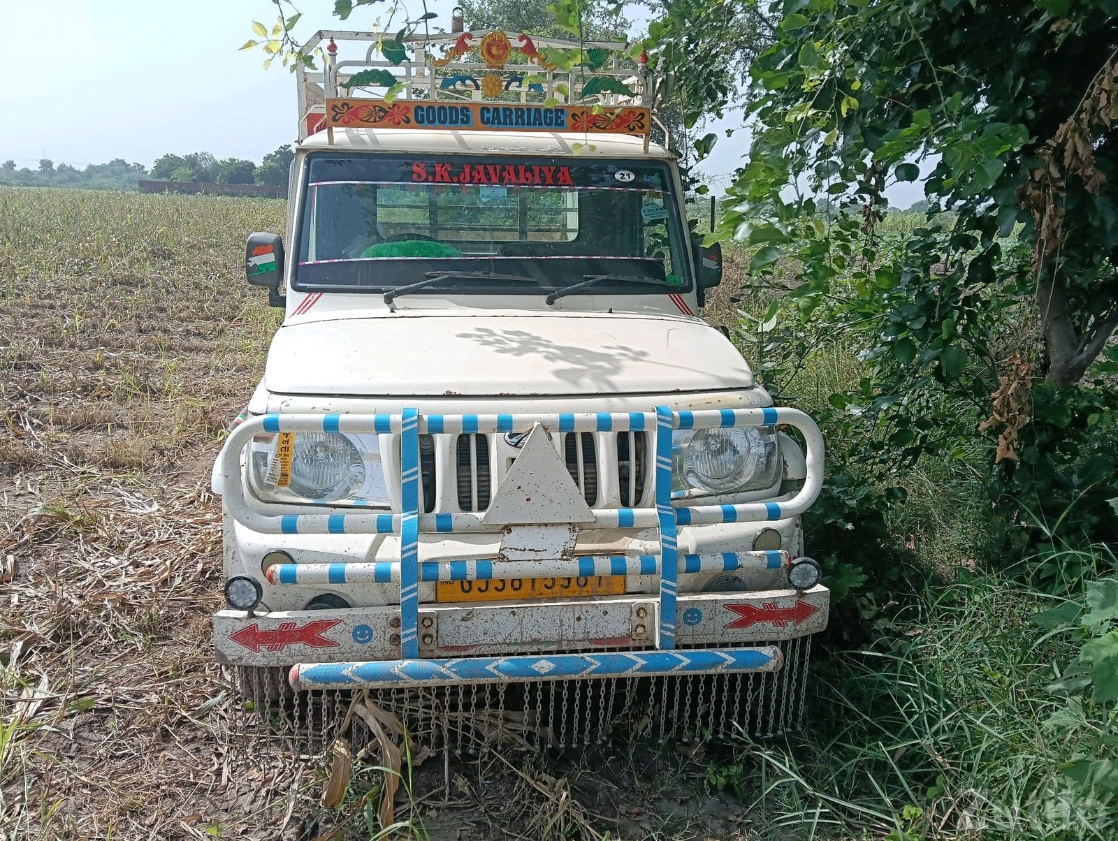 2021 Mahindra Bolero Maxi Truck Plus - ટ્રક અને લોરી - લીંબડી - Image 2